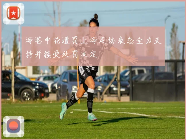 海港申花遭罚上海足协表态全力支持并接受处罚决定