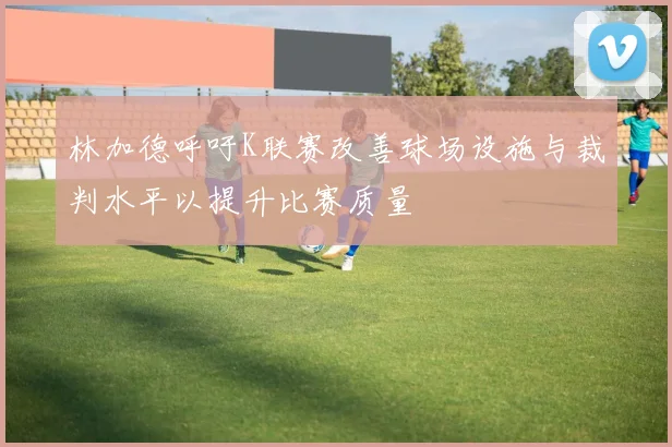 林加德呼吁K联赛改善球场设施与裁判水平以提升比赛质量