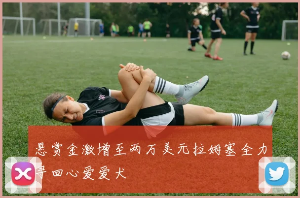 悬赏金激增至两万美元拉姆塞全力寻回心爱爱犬